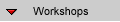 Workshops